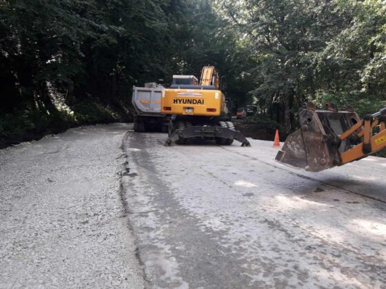 Участък Бързия-Гинци