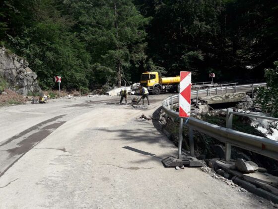 Участък Бързия-Гинци