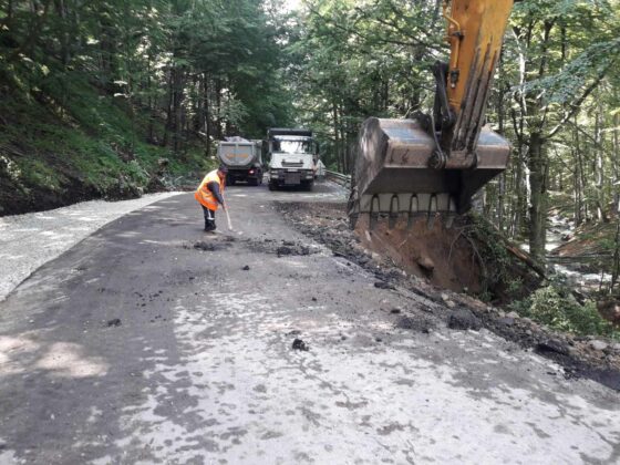 Участък Бързия-Гинци