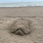 Пясъчна фигура