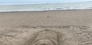 Пясъчна фигура