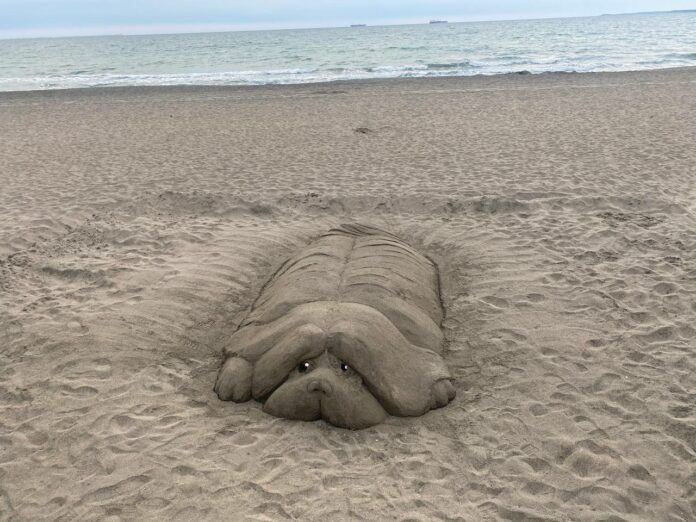 Пясъчна фигура