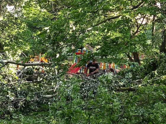 Поражения буря