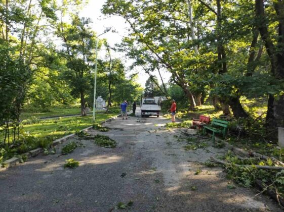 Поражения буря