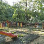 Поражения буря