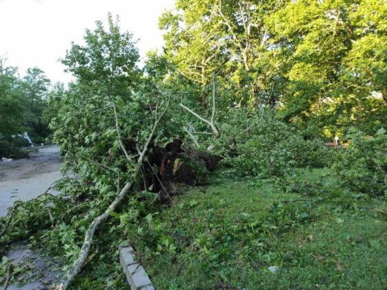 Поражения буря