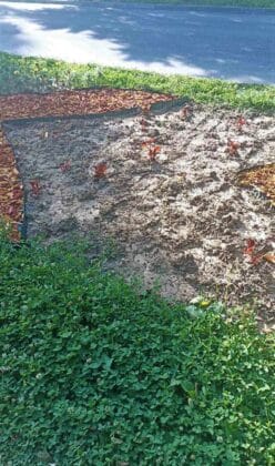 Вандалска проява във Видин