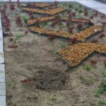 Вандалска проява във Видин