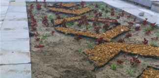 Вандалска проява във Видин