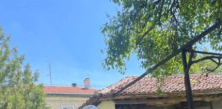 Теменужка Матева. Снимка: Личен архив