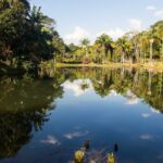 Амазонка Бразилия.