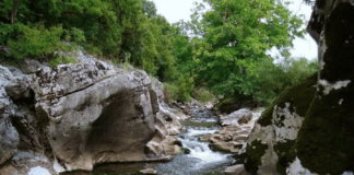 Река Ботуня в местност "Сопово"