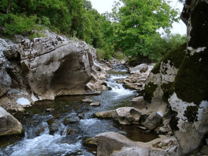 Река Ботуня в местност "Сопово"