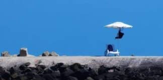 Делфин извади икона на Путин