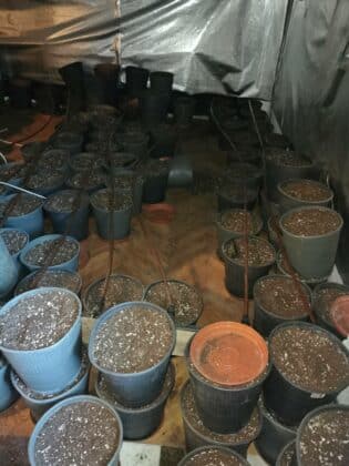 Две лица са в ареста за наркотици и оръжия