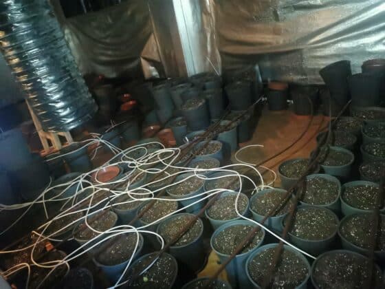 Две лица са в ареста за наркотици и оръжия