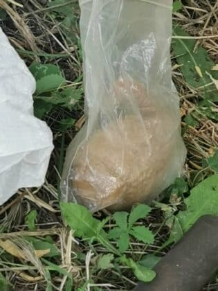 Две лица са в ареста за наркотици и оръжия