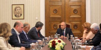 "Демократична България" и Румен Радев