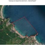 "Залив Корал"