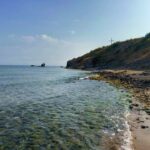 Залив "Корал"