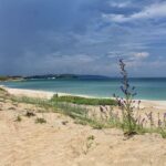 Залив "Корал"