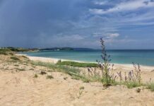 Залив "Корал"