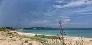 Залив "Корал"