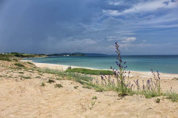 Залив "Корал"