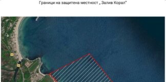 "Залив Корал"