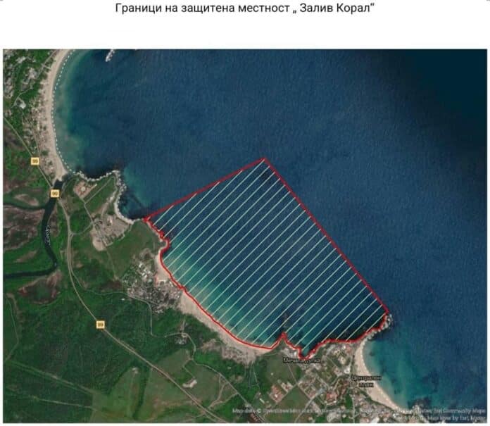 "Залив Корал"