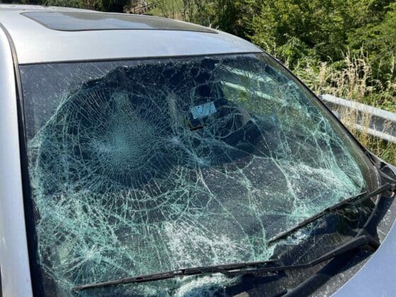 Потрошена кола