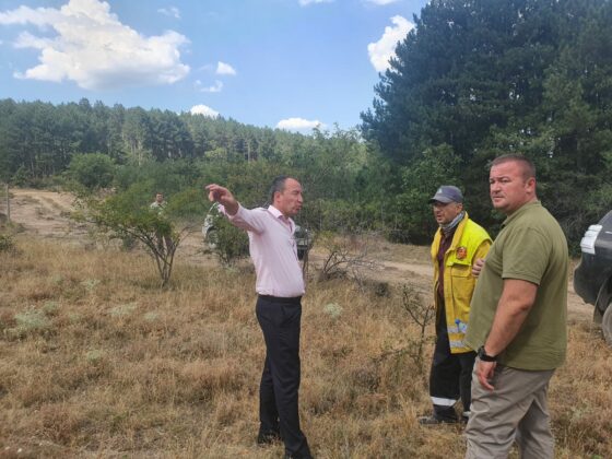 Пожар край Елшица