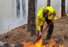 Пожар край Елшица