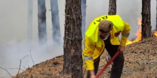 Пожар край Елшица