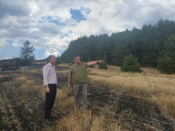 Пожар край Елшица