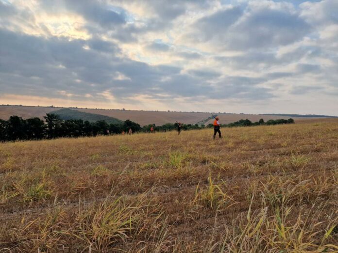 Ловен сезон