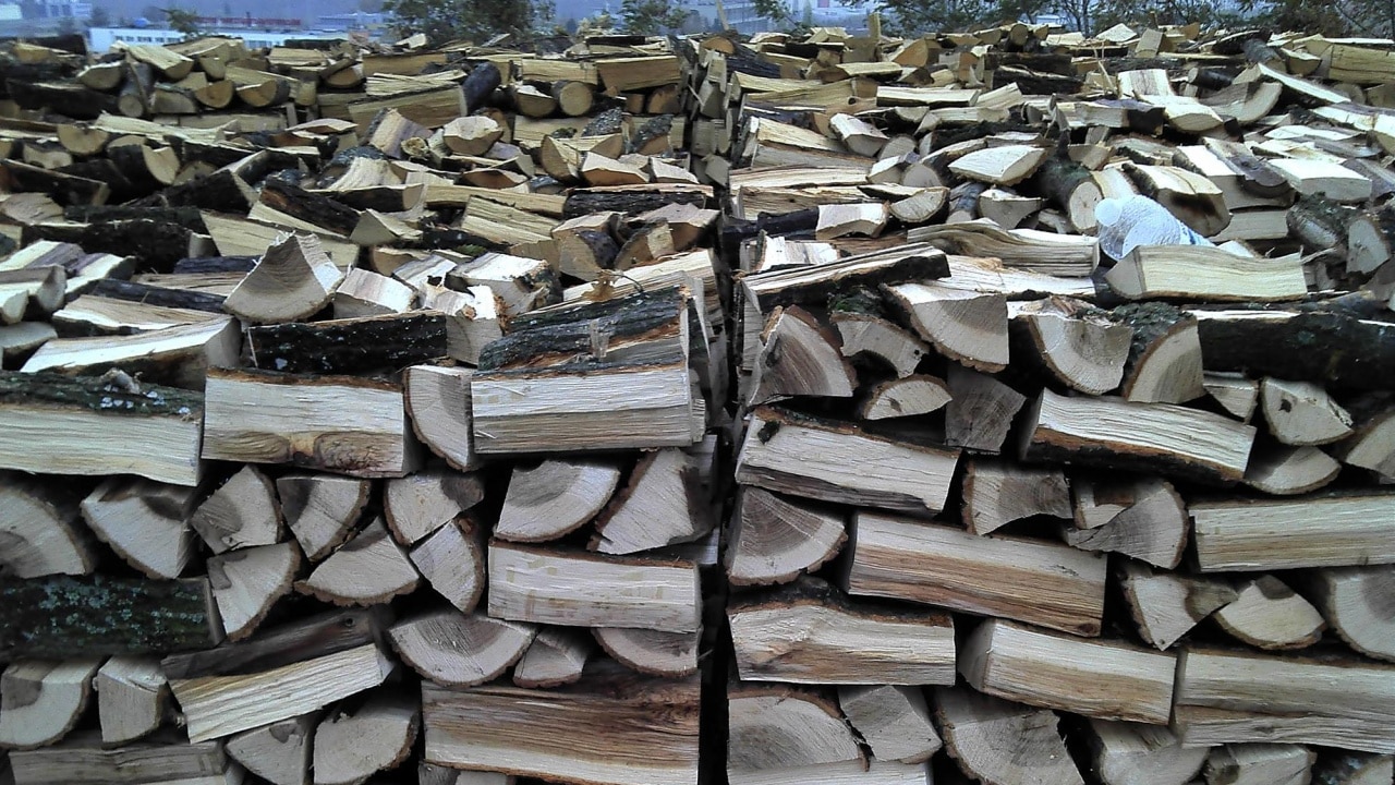 Съхранение на незаконно добити дърва за огрев е установено на