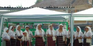 "Фисека пее"