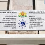 Изпълнителна агенция по рибарство и аквакултури