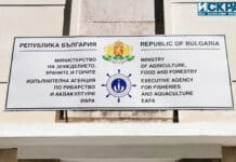 Изпълнителна агенция по рибарство и аквакултури