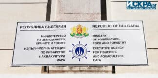 Изпълнителна агенция по рибарство и аквакултури