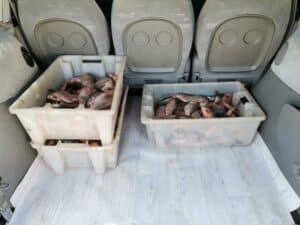 Акции на ИАРА