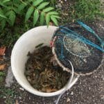 Акции на ИАРА