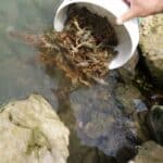 Акции на ИАРА