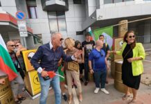 Акция на Мая Манолова. Снимка: "Изправи се България"