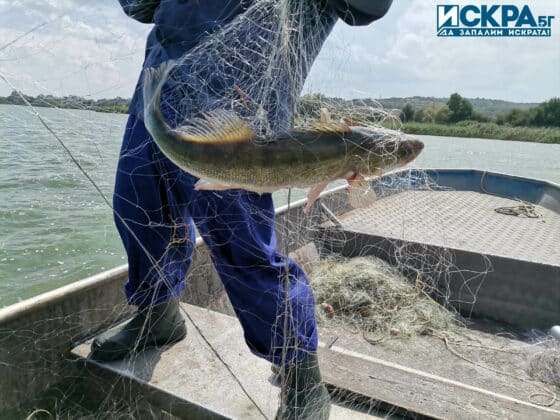 Незаконен улов