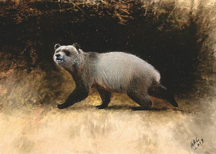 Prehistoric Panda