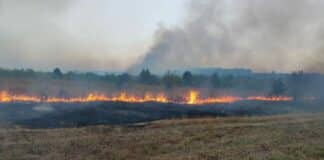 Пожар в Хасковско