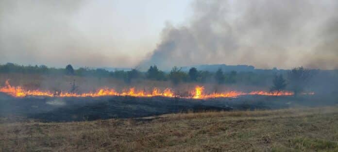 Пожар в Хасковско