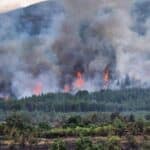 Пожар в Пазарджишко